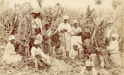 Mauritian Slaves