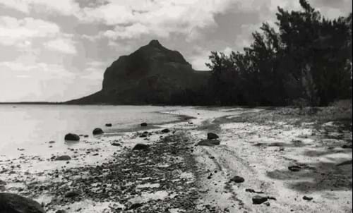 Old black and white picture of Le Morne view from the beach