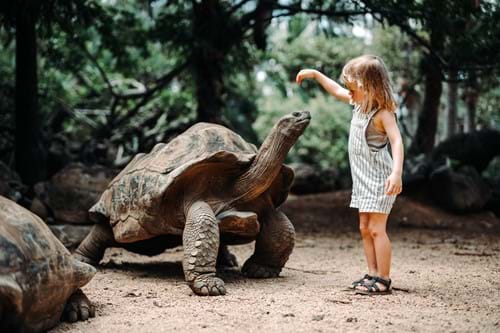 Casela Mauritius animal park