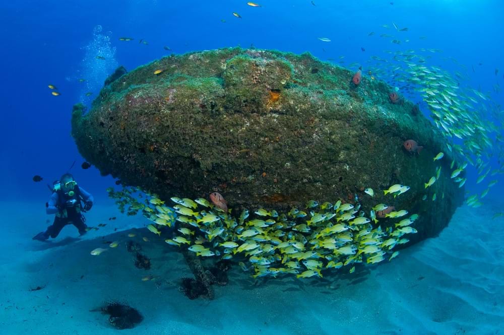 Tug 2 - Shipwreck Mauritius - Photo Courtesy of Gerald Rambert & Sundivers Mauritius.