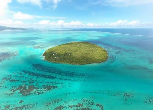Ile aux Aigrettes