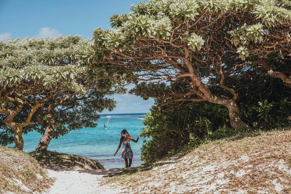 Nature Mauritius